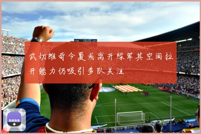 武切维奇今夏或离开绿军其空间拉开能力仍吸引多队关注